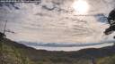 ./images/calvert/fitz-hugh-hecate/20250709/fitz-hugh-hecate20250709_092007M.jpg