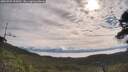 ./images/calvert/fitz-hugh-hecate/20250709/fitz-hugh-hecate20250709_093012M.jpg