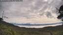 ./images/calvert/fitz-hugh-hecate/20250709/fitz-hugh-hecate20250709_094009M.jpg