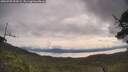 ./images/calvert/fitz-hugh-hecate/20250709/fitz-hugh-hecate20250709_095009M.jpg