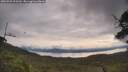 ./images/calvert/fitz-hugh-hecate/20250709/fitz-hugh-hecate20250709_095510M.jpg