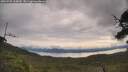 ./images/calvert/fitz-hugh-hecate/20250709/fitz-hugh-hecate20250709_100010M.jpg