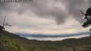 ./images/calvert/fitz-hugh-hecate/20250709/fitz-hugh-hecate20250709_101010M.jpg