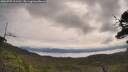 ./images/calvert/fitz-hugh-hecate/20250709/fitz-hugh-hecate20250709_101510M.jpg