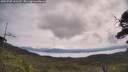 ./images/calvert/fitz-hugh-hecate/20250709/fitz-hugh-hecate20250709_102510M.jpg