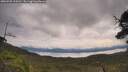 ./images/calvert/fitz-hugh-hecate/20250709/fitz-hugh-hecate20250709_104510M.jpg