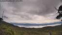 ./images/calvert/fitz-hugh-hecate/20250709/fitz-hugh-hecate20250709_105507M.jpg