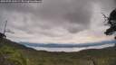 ./images/calvert/fitz-hugh-hecate/20250709/fitz-hugh-hecate20250709_110509M.jpg