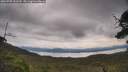 ./images/calvert/fitz-hugh-hecate/20250709/fitz-hugh-hecate20250709_111510M.jpg
