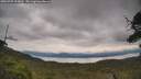 ./images/calvert/fitz-hugh-hecate/20250709/fitz-hugh-hecate20250709_113011M.jpg