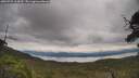 ./images/calvert/fitz-hugh-hecate/20250709/fitz-hugh-hecate20250709_114510M.jpg