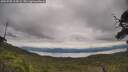 ./images/calvert/fitz-hugh-hecate/20250709/fitz-hugh-hecate20250709_115009M.jpg