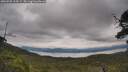 ./images/calvert/fitz-hugh-hecate/20250709/fitz-hugh-hecate20250709_115509M.jpg