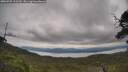 ./images/calvert/fitz-hugh-hecate/20250709/fitz-hugh-hecate20250709_122510M.jpg