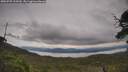 ./images/calvert/fitz-hugh-hecate/20250709/fitz-hugh-hecate20250709_123509M.jpg