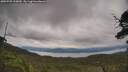 ./images/calvert/fitz-hugh-hecate/20250709/fitz-hugh-hecate20250709_125010M.jpg