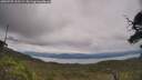 ./images/calvert/fitz-hugh-hecate/20250709/fitz-hugh-hecate20250709_125509M.jpg