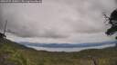 ./images/calvert/fitz-hugh-hecate/20250709/fitz-hugh-hecate20250709_130010M.jpg
