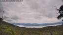 ./images/calvert/fitz-hugh-hecate/20250709/fitz-hugh-hecate20250709_132510M.jpg