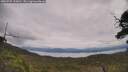 ./images/calvert/fitz-hugh-hecate/20250709/fitz-hugh-hecate20250709_133010M.jpg