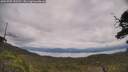 ./images/calvert/fitz-hugh-hecate/20250709/fitz-hugh-hecate20250709_133510M.jpg