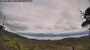 ./images/calvert/fitz-hugh-hecate/20250709/fitz-hugh-hecate20250709_134010M.jpg