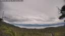 ./images/calvert/fitz-hugh-hecate/20250709/fitz-hugh-hecate20250709_134509M.jpg