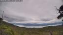 ./images/calvert/fitz-hugh-hecate/20250709/fitz-hugh-hecate20250709_135010M.jpg