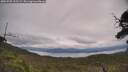 ./images/calvert/fitz-hugh-hecate/20250709/fitz-hugh-hecate20250709_135508M.jpg