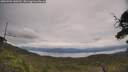 ./images/calvert/fitz-hugh-hecate/20250709/fitz-hugh-hecate20250709_140510M.jpg