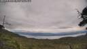 ./images/calvert/fitz-hugh-hecate/20250709/fitz-hugh-hecate20250709_141509M.jpg