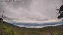 ./images/calvert/fitz-hugh-hecate/20250709/fitz-hugh-hecate20250709_142009M.jpg