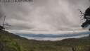 ./images/calvert/fitz-hugh-hecate/20250709/fitz-hugh-hecate20250709_143009M.jpg