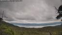 ./images/calvert/fitz-hugh-hecate/20250709/fitz-hugh-hecate20250709_144009M.jpg