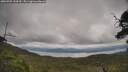 ./images/calvert/fitz-hugh-hecate/20250709/fitz-hugh-hecate20250709_144510M.jpg