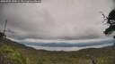 ./images/calvert/fitz-hugh-hecate/20250709/fitz-hugh-hecate20250709_145009M.jpg