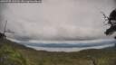 ./images/calvert/fitz-hugh-hecate/20250709/fitz-hugh-hecate20250709_145509M.jpg