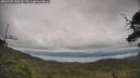 ./images/calvert/fitz-hugh-hecate/20250709/fitz-hugh-hecate20250709_150509M.jpg