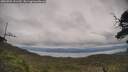 ./images/calvert/fitz-hugh-hecate/20250709/fitz-hugh-hecate20250709_151510M.jpg