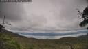 ./images/calvert/fitz-hugh-hecate/20250709/fitz-hugh-hecate20250709_152509M.jpg