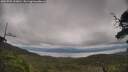 ./images/calvert/fitz-hugh-hecate/20250709/fitz-hugh-hecate20250709_153011M.jpg
