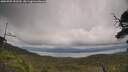 ./images/calvert/fitz-hugh-hecate/20250709/fitz-hugh-hecate20250709_153510M.jpg
