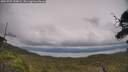 ./images/calvert/fitz-hugh-hecate/20250709/fitz-hugh-hecate20250709_154009M.jpg