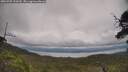 ./images/calvert/fitz-hugh-hecate/20250709/fitz-hugh-hecate20250709_154509M.jpg