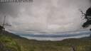 ./images/calvert/fitz-hugh-hecate/20250709/fitz-hugh-hecate20250709_155508M.jpg