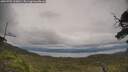 ./images/calvert/fitz-hugh-hecate/20250709/fitz-hugh-hecate20250709_160010M.jpg