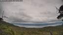 ./images/calvert/fitz-hugh-hecate/20250709/fitz-hugh-hecate20250709_160509M.jpg