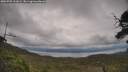 ./images/calvert/fitz-hugh-hecate/20250709/fitz-hugh-hecate20250709_161009M.jpg