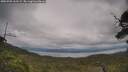 ./images/calvert/fitz-hugh-hecate/20250709/fitz-hugh-hecate20250709_162509M.jpg