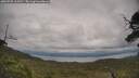 ./images/calvert/fitz-hugh-hecate/20250709/fitz-hugh-hecate20250709_163510M.jpg